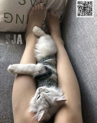 美景之屋电影免费观看