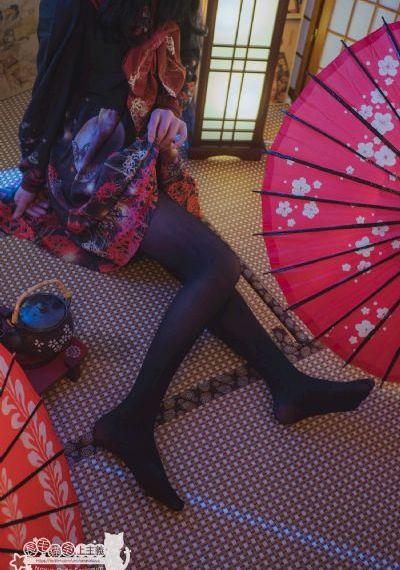 少年派第一季免费播放视频