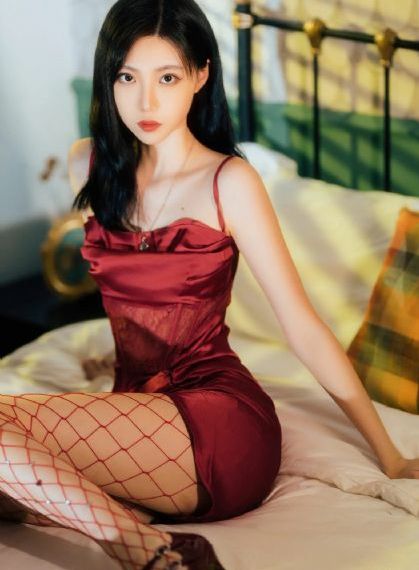 城中之城电视剧免费观看全集剧情