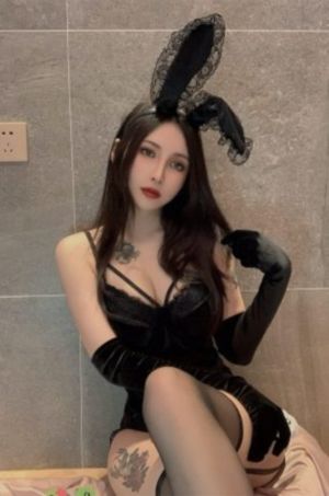 美鸟日记